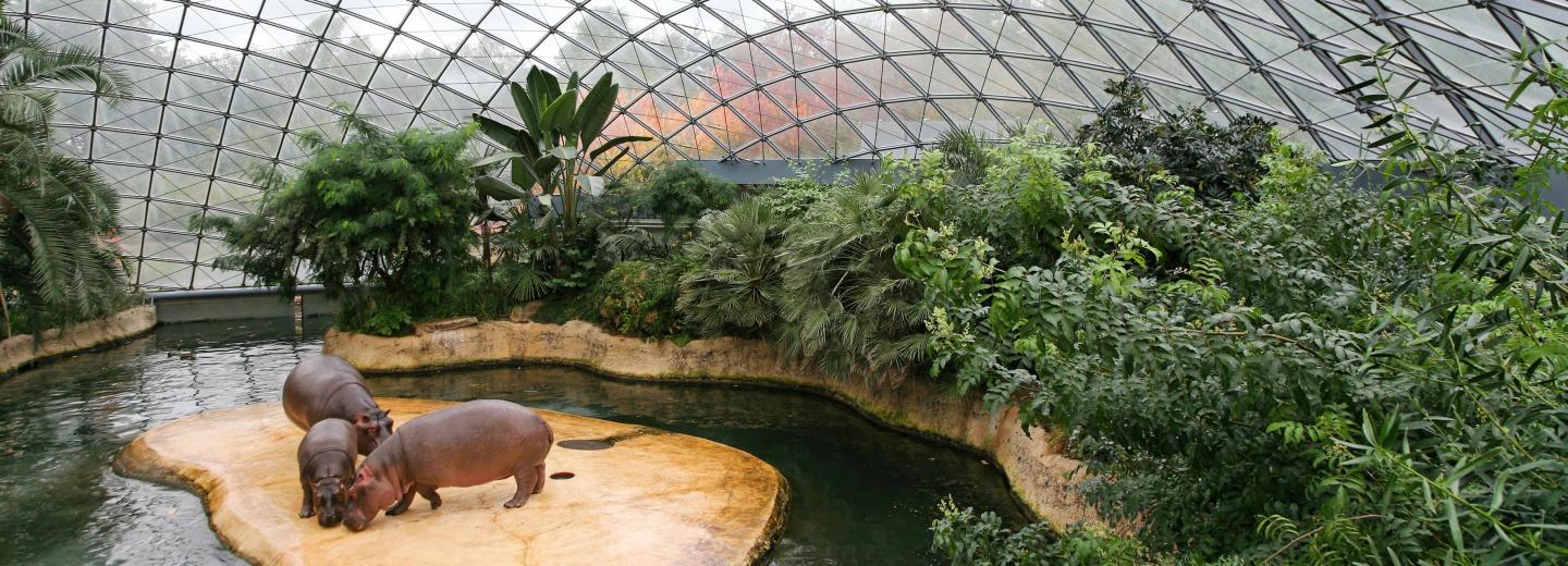 © Tierpark Berlin Tierpark Berlin