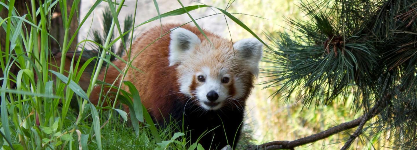 © Zoo Leipzig Zoo Leipzig