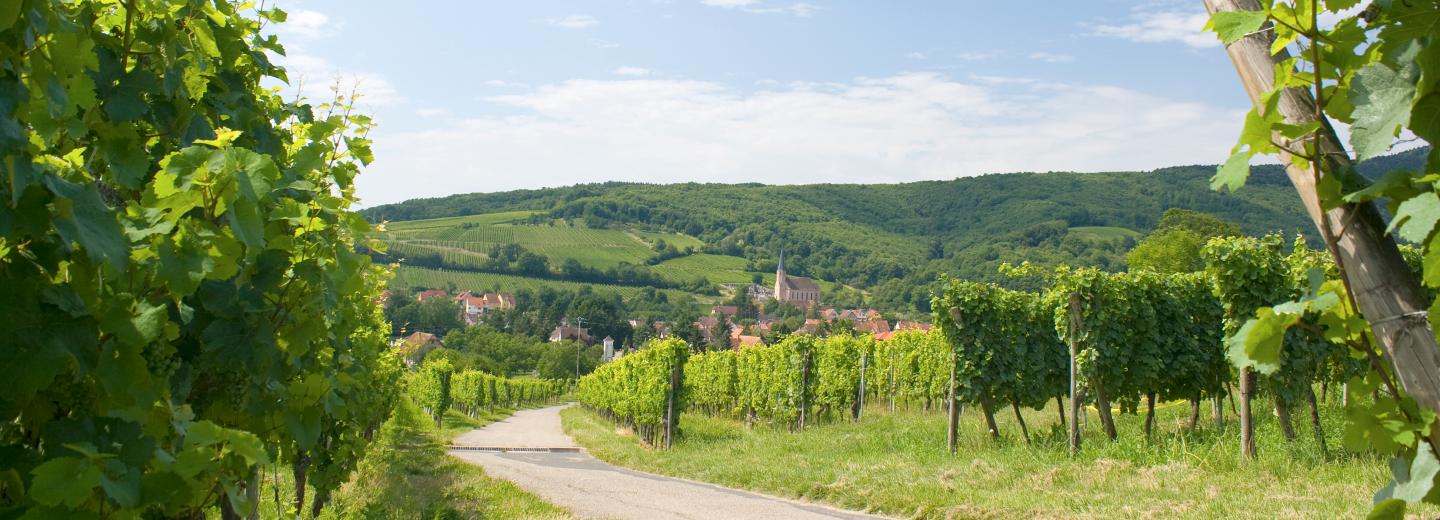 © Eurotours Elsass