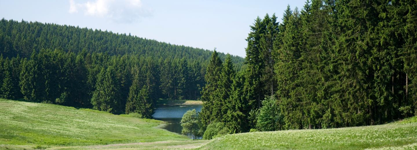 © Eurotours Hahnenklee