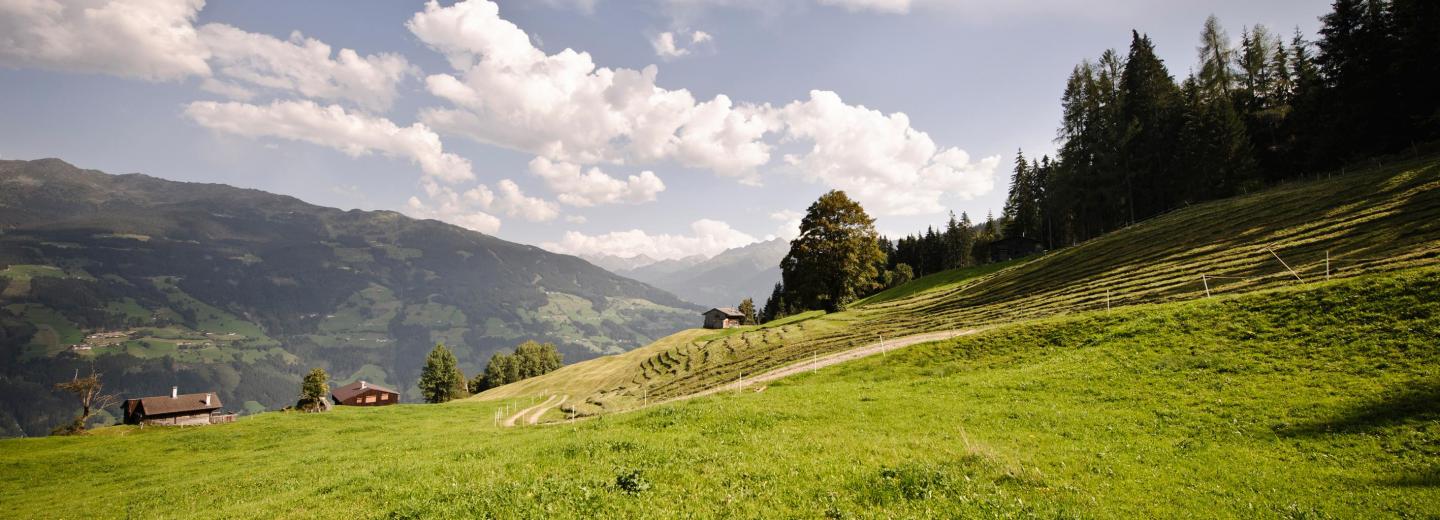© Zillertal Tourismus GmbH, Andre Schönherr Region Zillertal