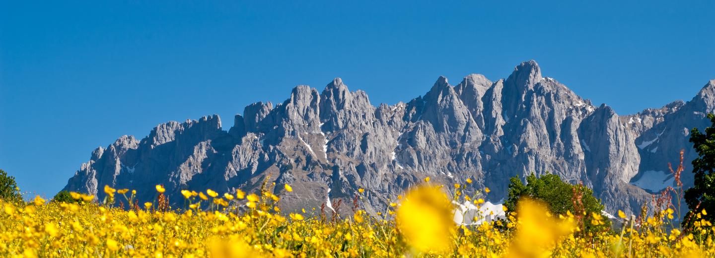 © TVB Wilder Kaiser Aktivtage in den Kitzbüheler Alpen