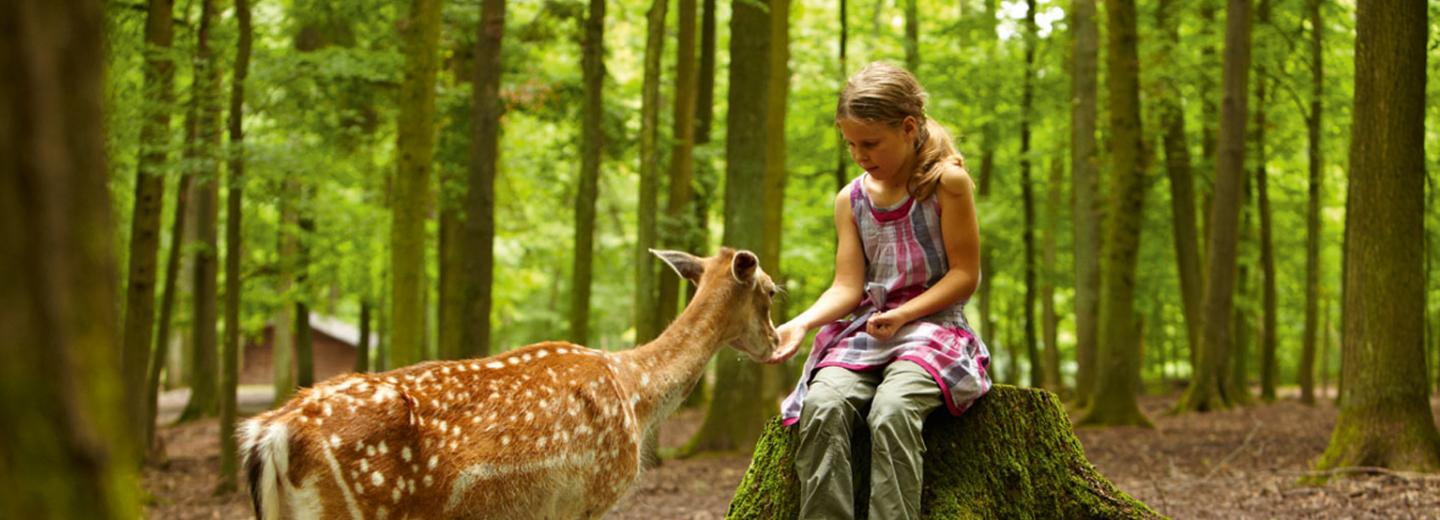 © Eurotours Erlebnispark Tripsdrill für Tierfreunde und Naturliebhaber