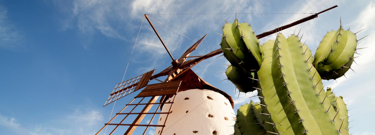 © Eurotours Fuerteventura