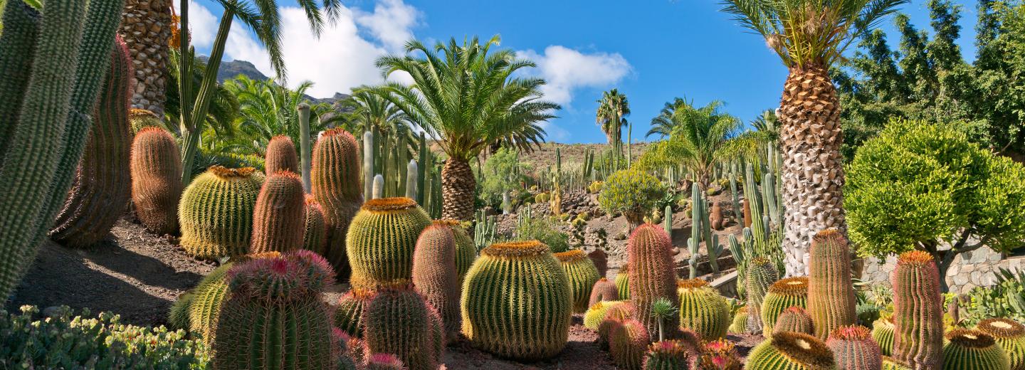 © Eurotours Gran Canaria