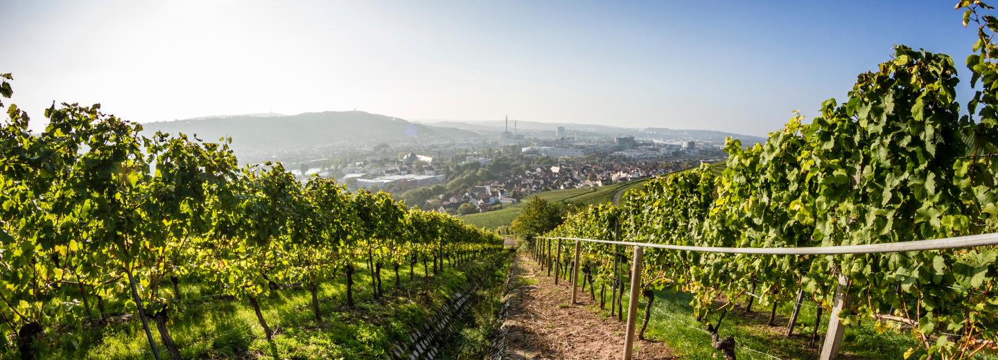 © Eurotours Stuttgart