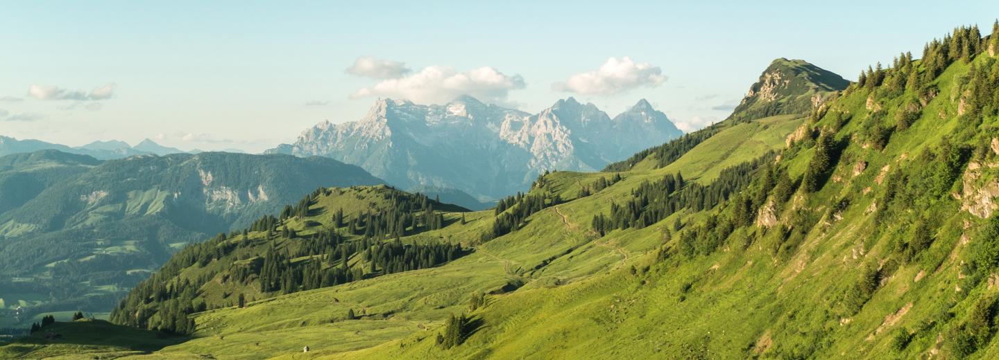 © Kitzbüheler Alpen Fieberbrunn
