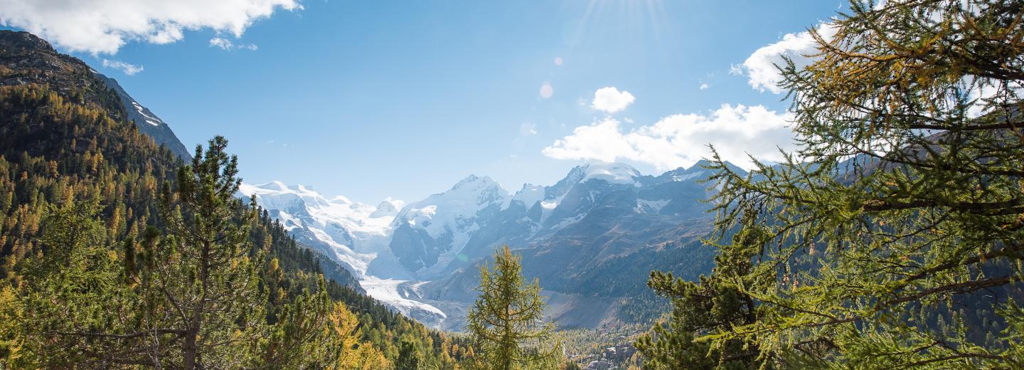 © Romano Salis Pontresina Tourismus Pontresina