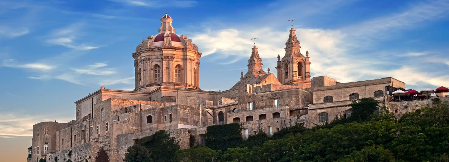 © viewingmalta Mdina Gate