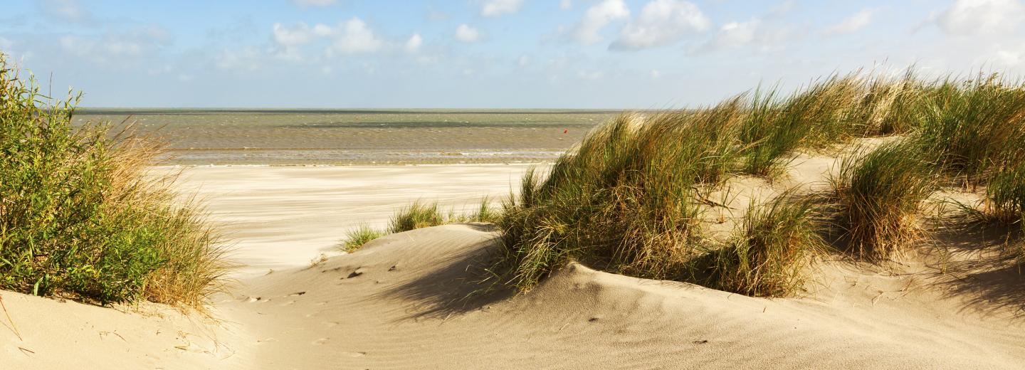 © Eurotours Zeebruegge