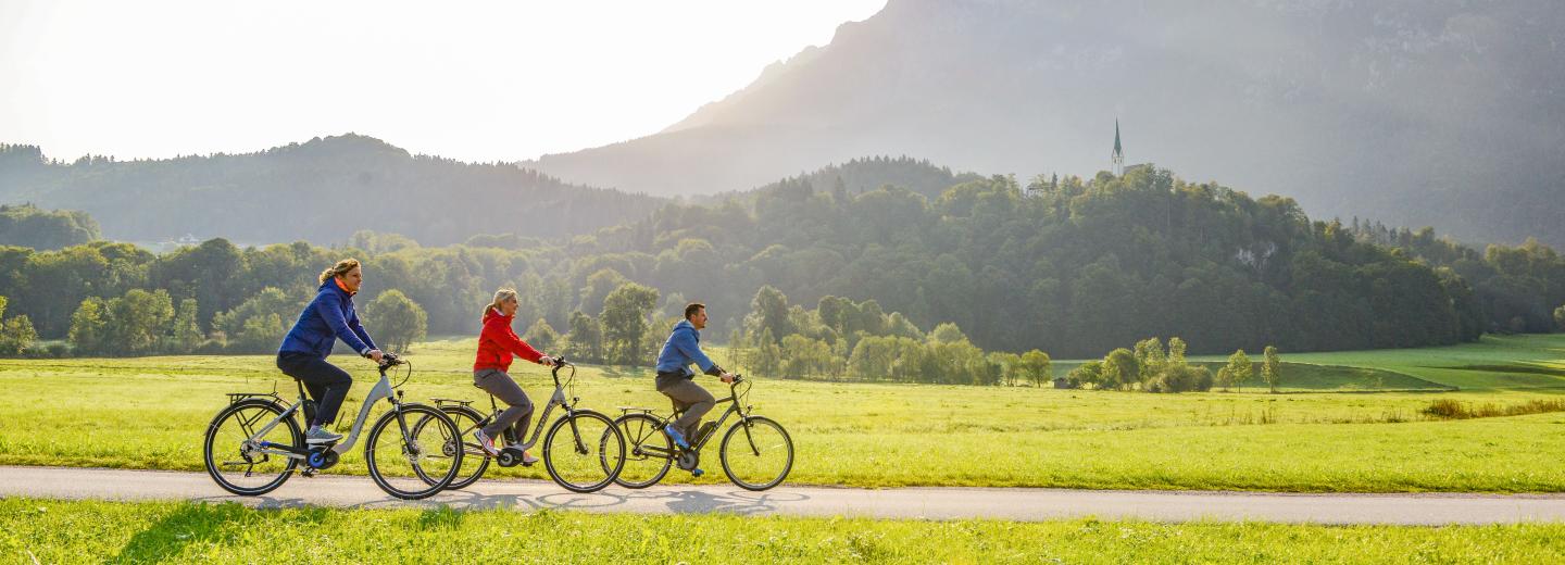 © VICTORIA E-Bikes VICTORIA