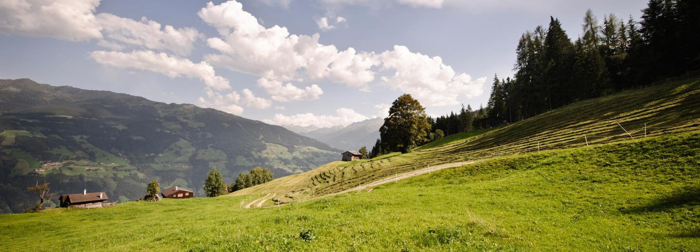 © Zillertal Tourismus GmbH, Andre Schönherr Region Zillertal
