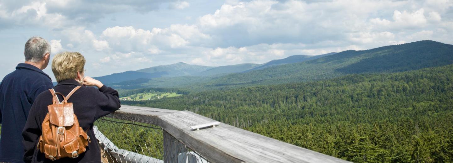 © Erlebnis Akademie AG Baumwipfelpfad Bayerischer Wald Baumwipfelpfad Bayerischer Wald, Neuschönau