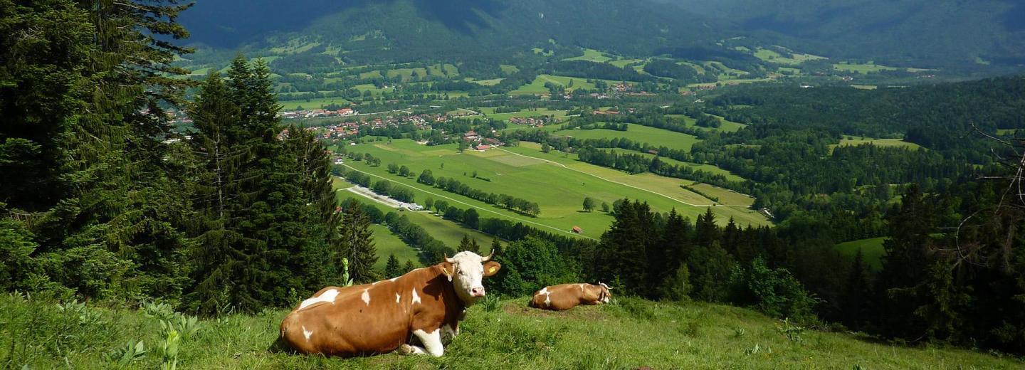 © Eurotours Aktive Tage im bayerisches Bergparadies Lenggries