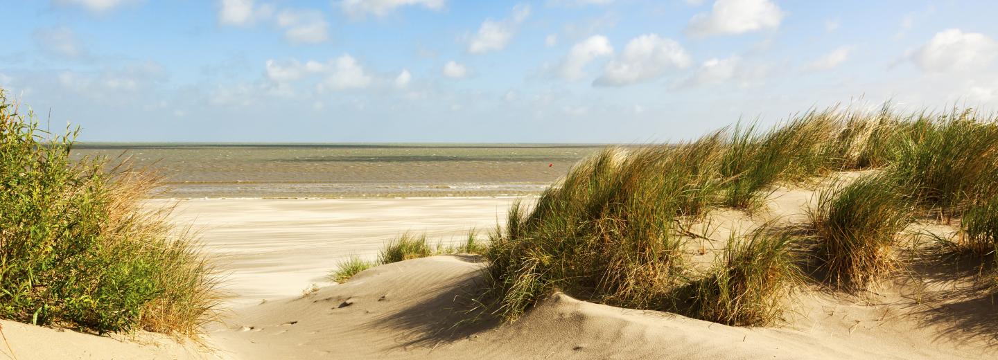 © Eurotours Zeebrugge