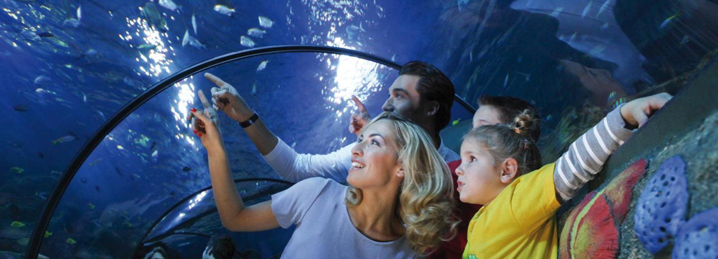 © Gardaland & Sealife Castelnuovo del Garda