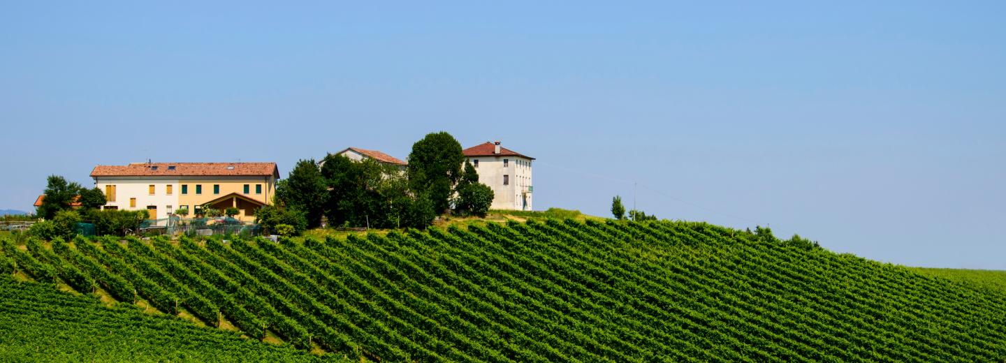 © Eurotours Conegliano