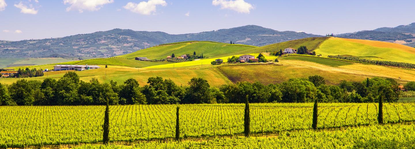 © Eurotours Montalcino