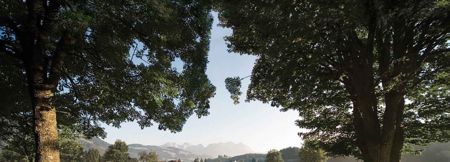 © Joe Hoelzl Kitzbühel