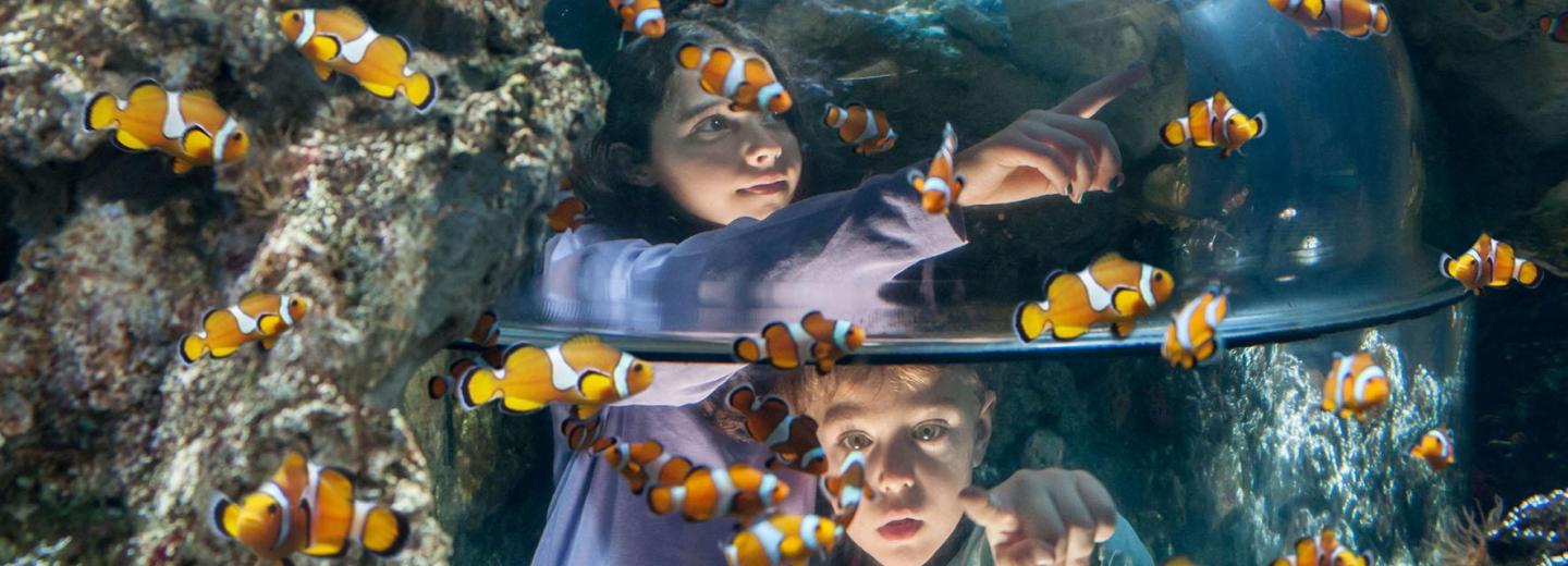 © Gardaland & Sealife Gardaland & Sealife, Castelnuovo del Garda