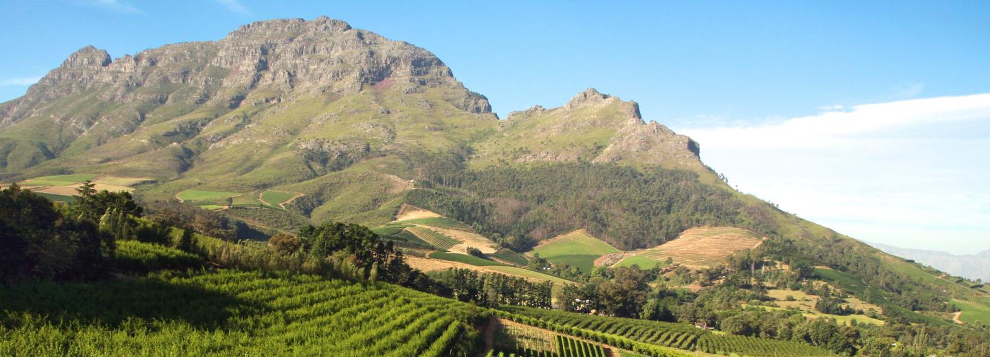 © Eurotours Franschhoek