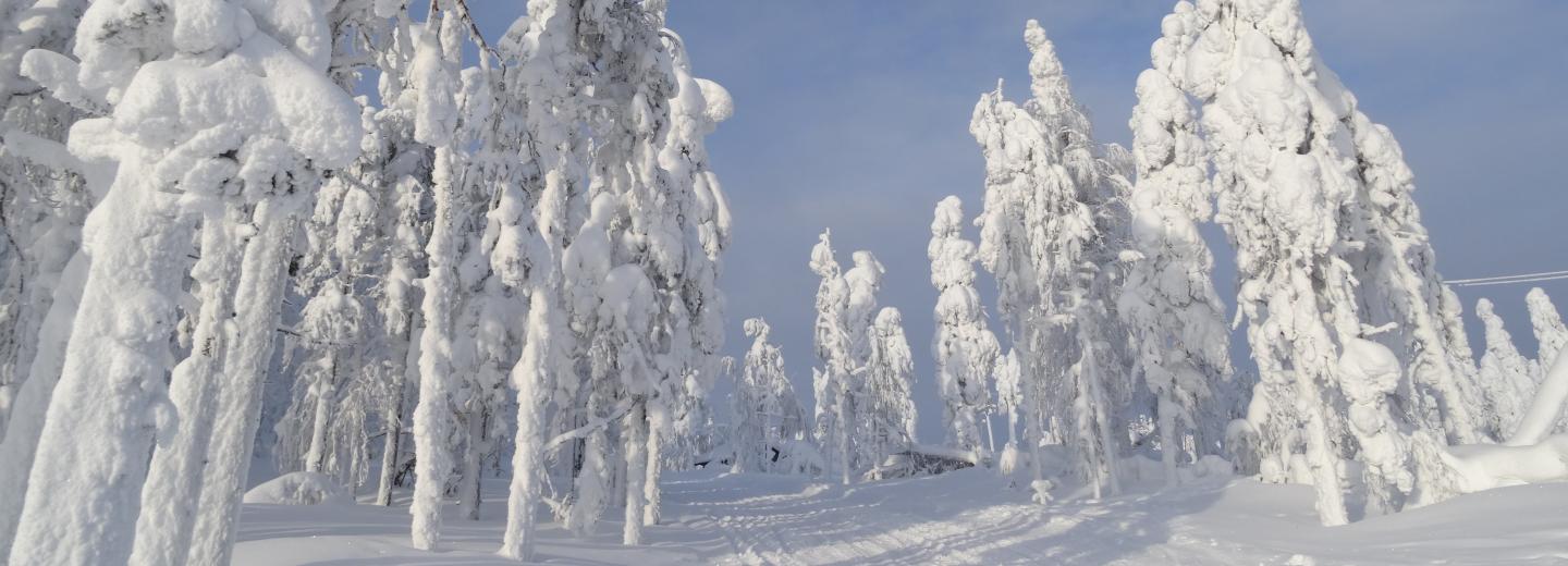 © Eurotours Finnland: Traumwinter in Levi