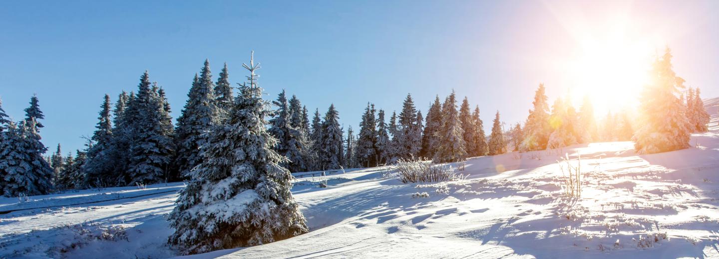 © Eurotours Winterparadies Steiermark: Ski-und Snowboarder aufgepasst!