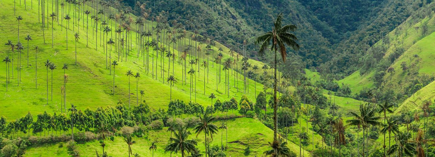 © Eurotours Kolumbien: Vielfältig und Wunderschön