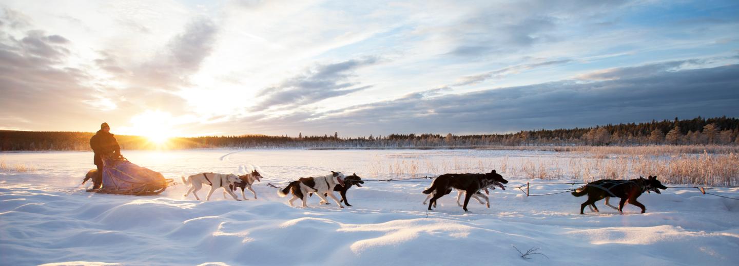 © Eurotours Abenteuer im hohen Norden: Snow & Fun in Lappland