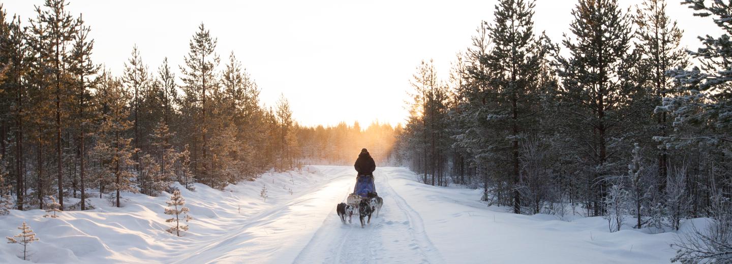 © Eurotours Abenteuer im hohen Norden: Snow & Fun in Lappland