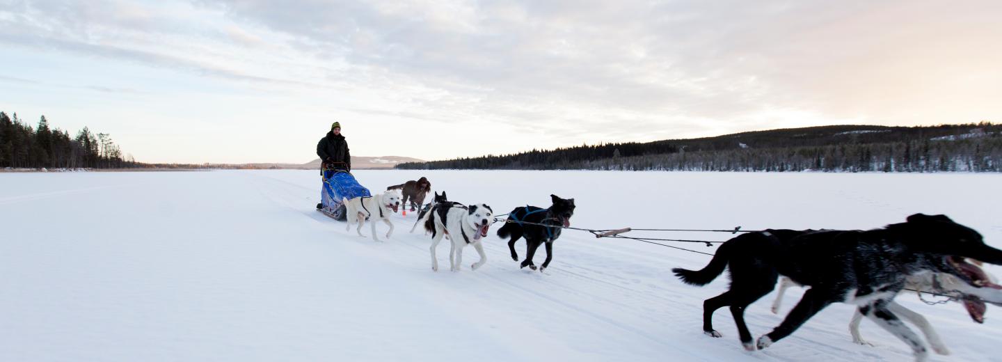 © Eurotours Abenteuer im hohen Norden: Snow & Fun in Lappland