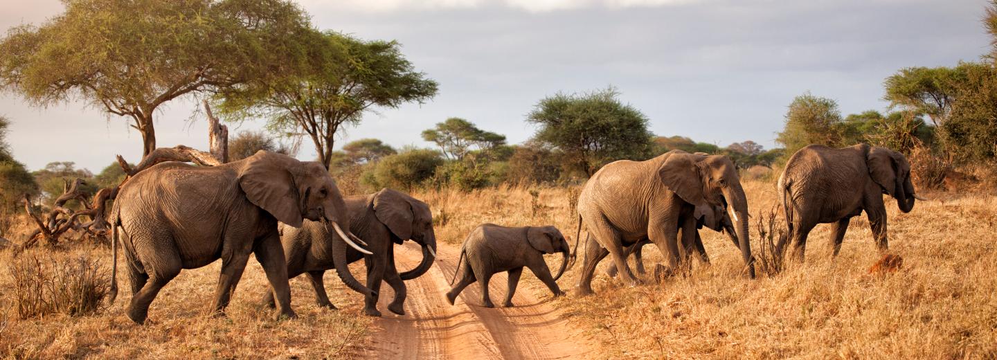 © Eurotours Einmaliges Erlebnis: Rundreise durch Südafrika