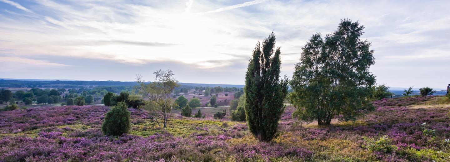 © Erlebniswelt Lüneburger Heide GmbH Schneverdingen