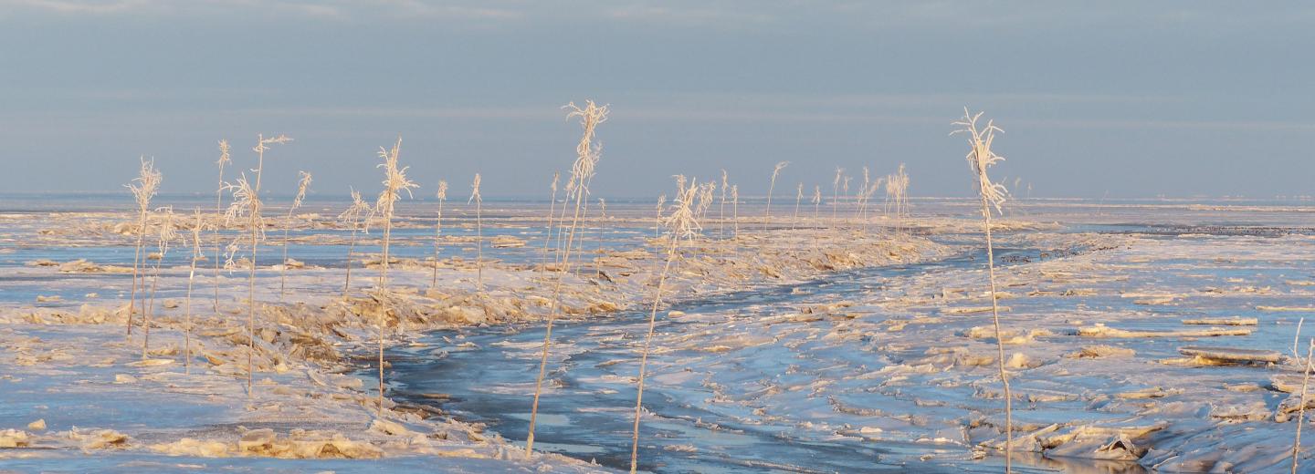 © Kurverwaltung Wurster Nordseeküste Wurster Nordseeküste