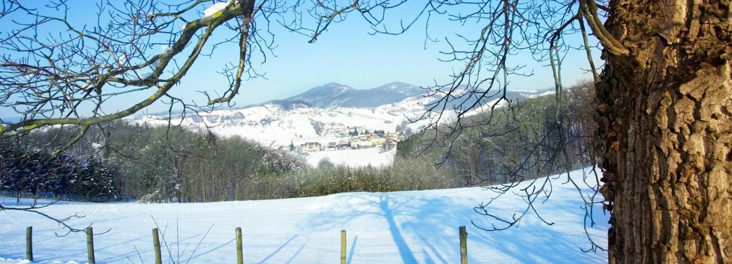 © Eurotours Bad Gleichenberg: Wellness im grünen Herzen Österreichs