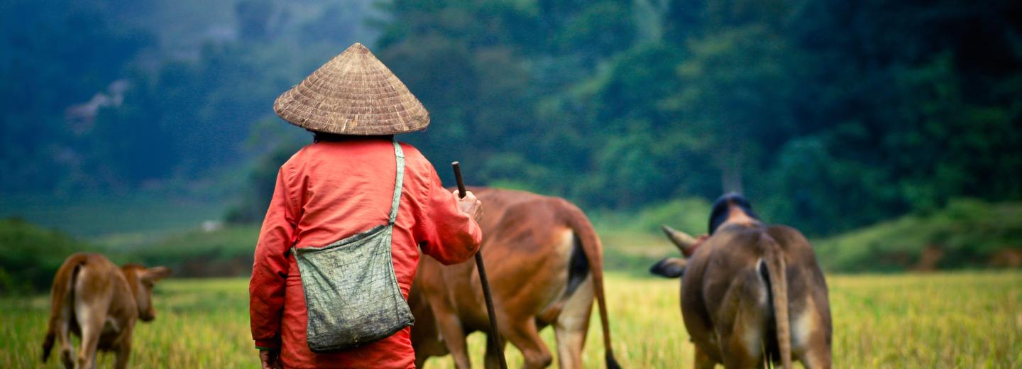 © Eurotours Vietnam
