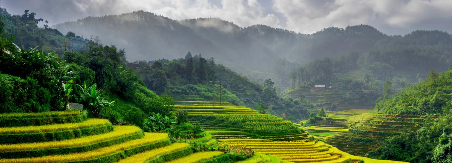 © Eurotours Vietnam