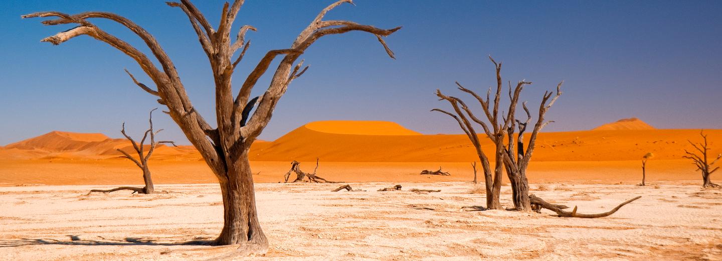 © Eurotours Namibia