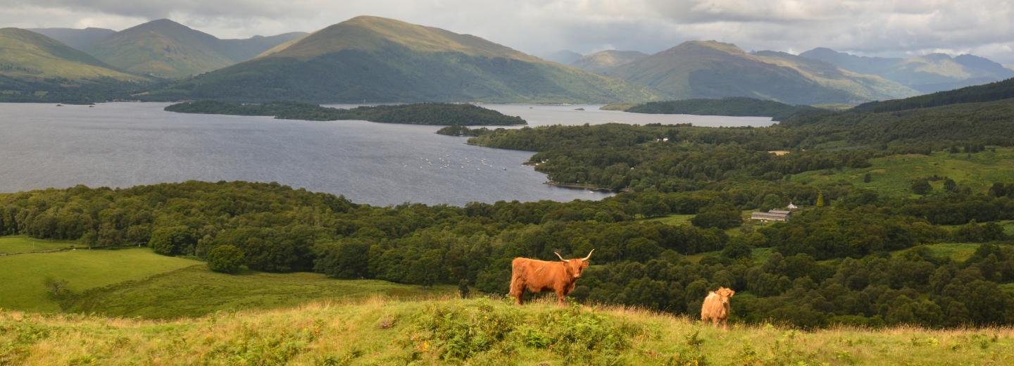 © Eurotours Loch Lomond