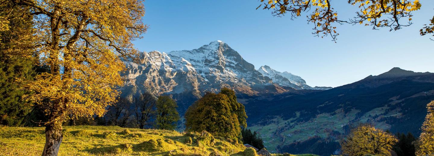 © Jungfrau Region Grindelwald