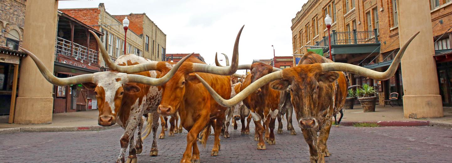 © Visit Fort Worth Fort Worth Stockyards, Texas