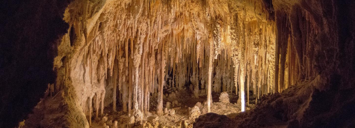 © Eurotours Carlsbad-Caverns-Nationalpark, New Mexico