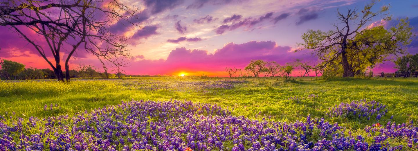 © Eurotours Texas Hill Country