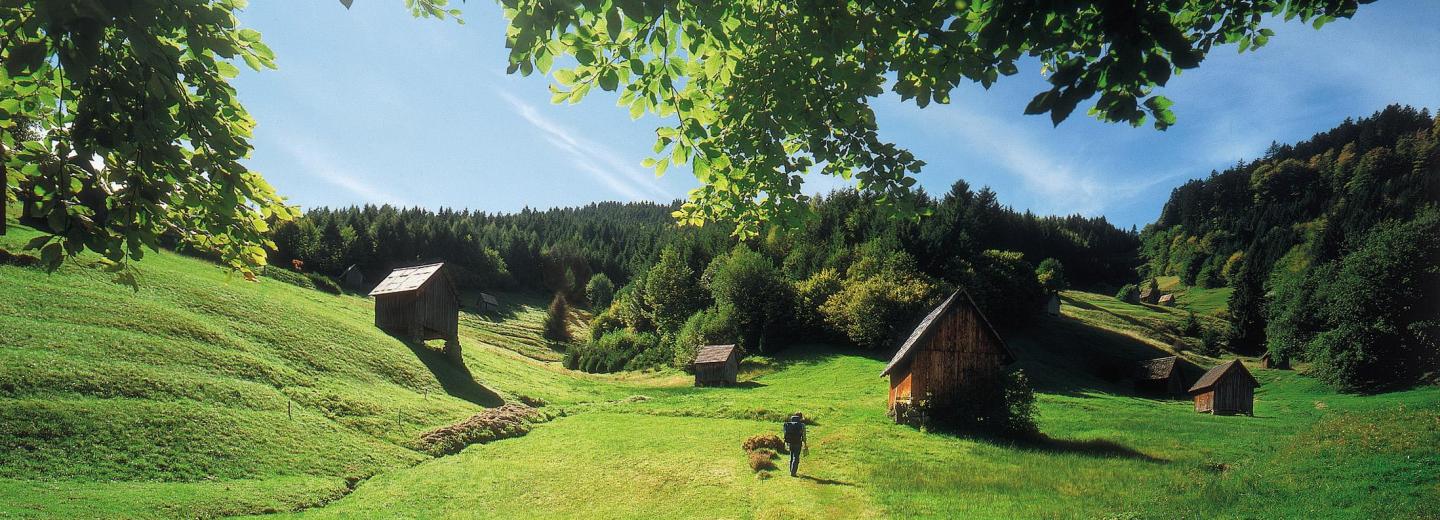 © Zweckverband Im Tal der Murg Schwarzwald
