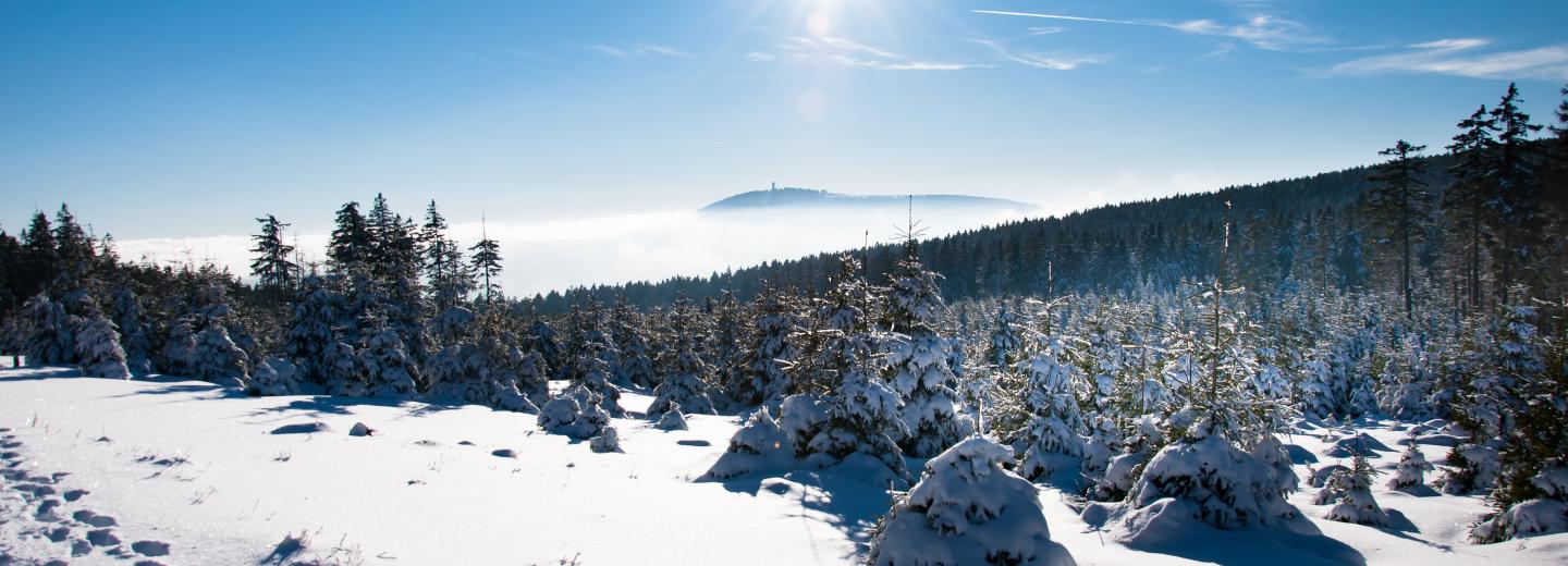 © Eurotours Harz