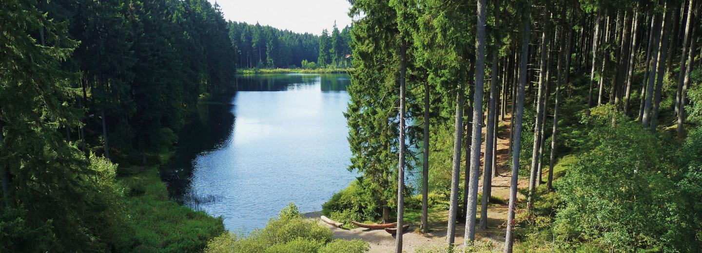 © HAHNENKLEE tourismus marketing gmbh Niedersachsen: Familienurlaub im Harz