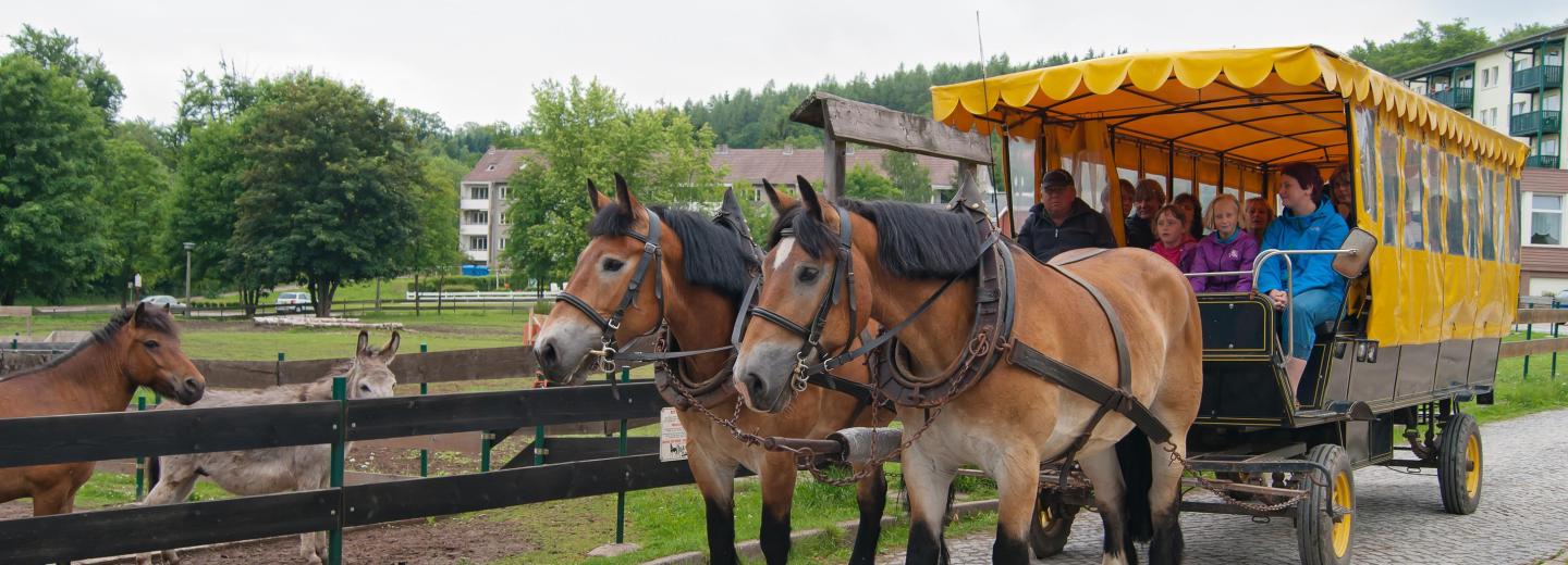 © Eurotours Friedrichsbrunn: Naturerlebnisse im Harz