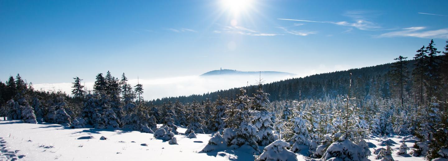 © Eurotours Harz