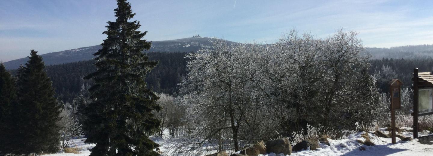 © Harzer Tourismusverband Harz
