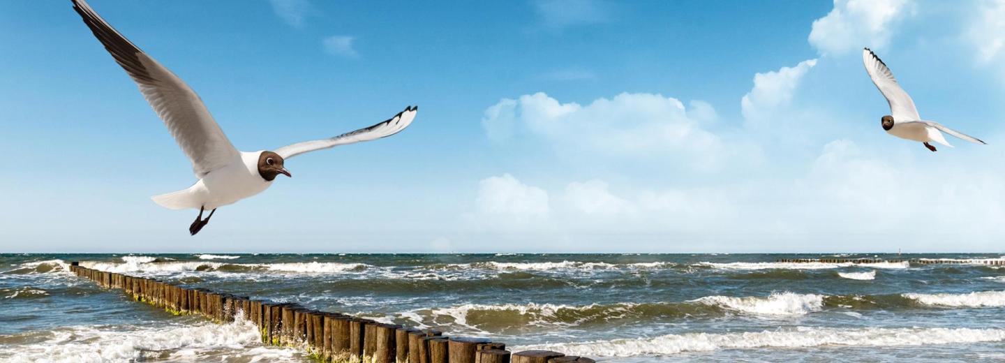 © Device - Fotolia.com Usedom